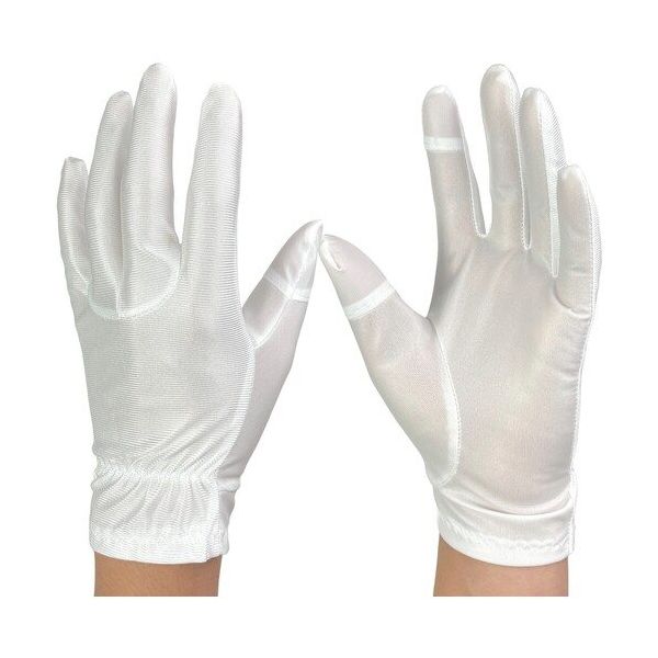 ウインセス WINCESS 防塵手袋 タッチパネル対応 M (10双入) 3765-M 1袋(10双) 686-4432（直送品）