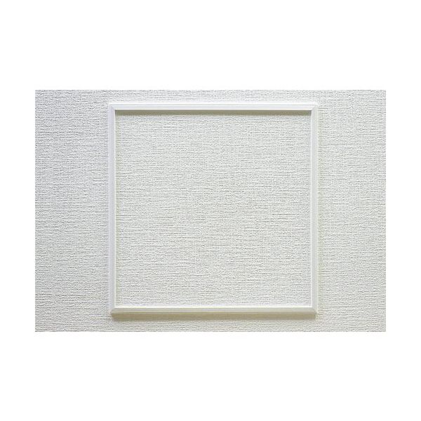 フクビ化学工業 FUKUVI 樹脂製 スマート壁点検口Wー10(12.5ミリ)300角 HCW1230 1セット(10個) 685-3683（直送品）