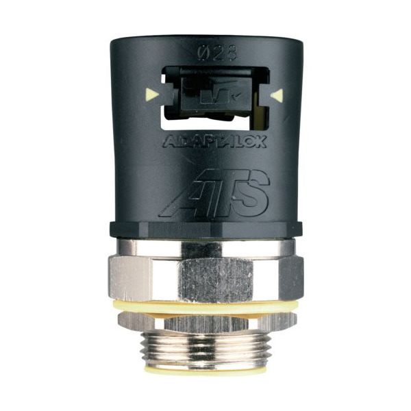 AT16/M16/SA/BLY（直送品）