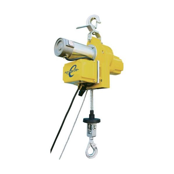 トーヨーコーケン TKK エンドレスタイプ小型ホイスト 200kg 30M 無線型 BW-E200R(30M) 1台 686-4972（直送品）