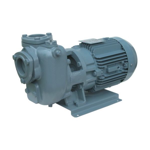 荏原製作所 エバラ SQD型自吸ポンプ 50Hz 口径25mm 25SQGD5.4C 1台 680-0311（直送品）