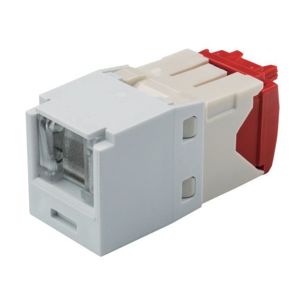 パンドウイットコーポレーション PANDUIT カテゴリ5E シャッター付モジュラージャック 白 CJH5E88TGWH 1セット(10個)（直送品）