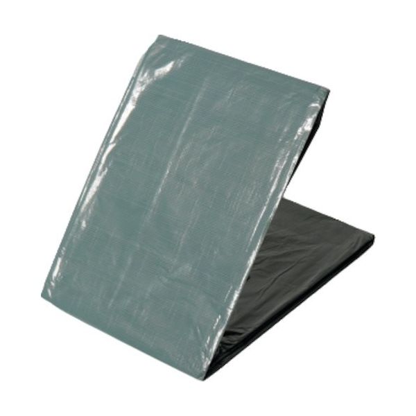 萩原工業 萩原 【売切廃番】 ターピー 1年シート 3.6m×5.4m 1NST-3654 1枚 167-0145（直送品）