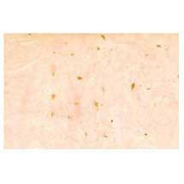 ペーパーインテリジェンス レーヨン雲龍紙金箔 6色計7枚 4101353レーヨンウンリュウセット 1パック（直送品）