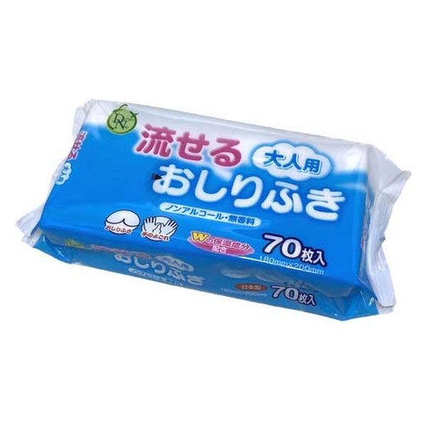 【おしりふき】【トイレに流せる】大一紙工 大人用流せるおしりふきB00399 1P B00399 1セット(1個×5)（直送品）
