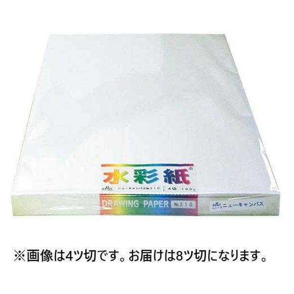 エスケント 水彩画紙8ツ切100枚 No210ニューキャンバス ニユーキヤンバスNo.210 8ツ 1セット(1包×2)（直送品）