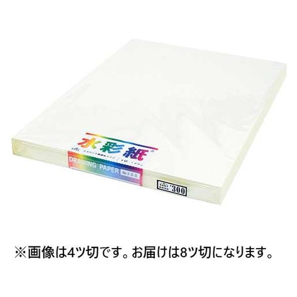 エスケント 水彩画紙8ツ切100枚 No300エスケント ビジユツスイサイNo.300 8ツ 1包（直送品）