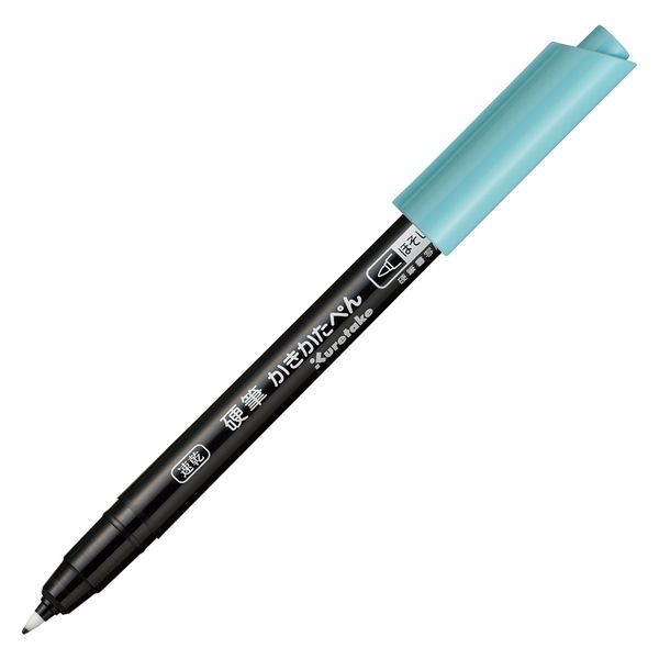 呉竹 速乾 硬筆かきかたぺん ほそじ黒 QDEAL122-010 1本（直送品