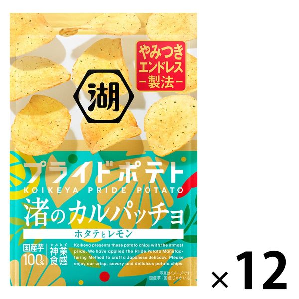 かるぱちょ ポテトチップス おつまみ 湖池屋 プライドポテト 渚の