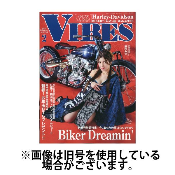 VIBES（バイブズ） 2025/05/10発売号から1年(12冊)(雑誌)（直送品）