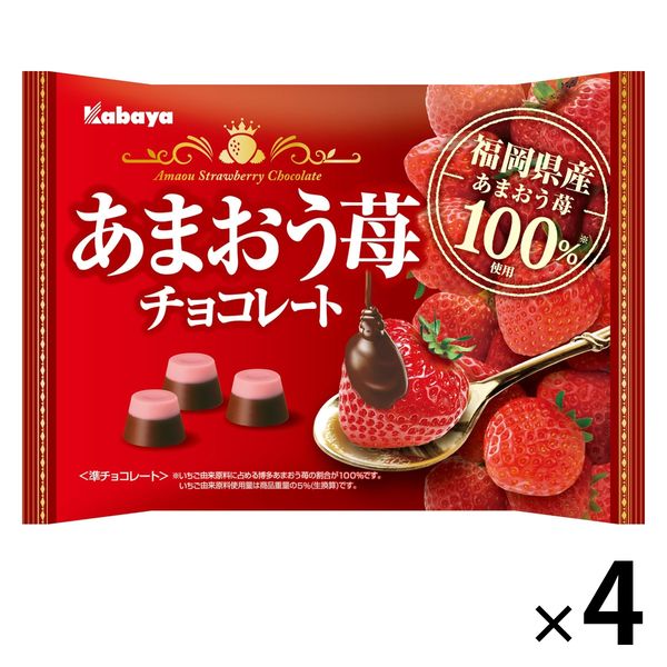 いちごちょこ様 チョコレート 個包装 ちびっこ あまおう苺 オールシーズンチョコ