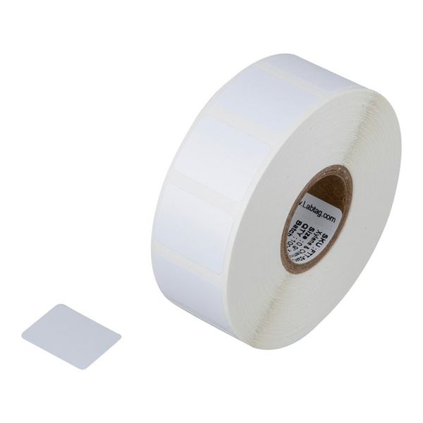 耐薬性スライドラベル(XyliTUFF(TM))23.0×17.0mm 1巻(1000枚入) FTT-524C1-1WH 1巻(1000枚)（直送品）