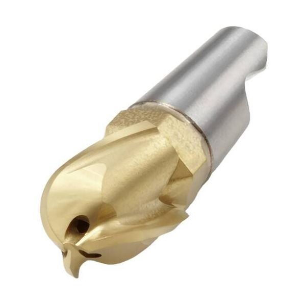 セコ・ツールズ・ジャパン セコ フライス ミニマスターヘッド MM16 F40M MM16-16019-B90A30-M06 1個（直送品）