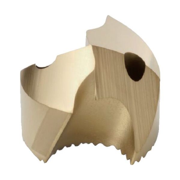 セコ・ツールズ・ジャパン セコ ドリル クラウンロック用ヘッド M種用 SD100-14.50-M 1セット(2個) 429-2370（直送品）