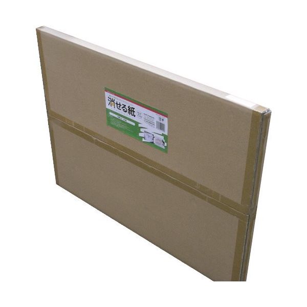 欧文印刷 消せる紙 A1(方眼50枚) M5CGSA1W50 1セット(100枚:50枚×2冊) 194-8141（直送品）