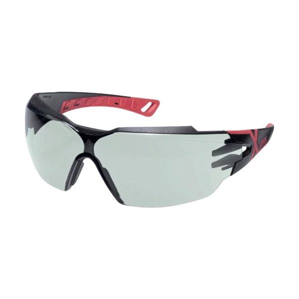 ウベックス UVEX 赤外線遮断保護メガネ フィオス CX2 IR―ex1.7 9198171 1個 664-6412（直送品）