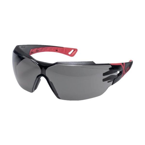 ウベックス UVEX 赤外線遮断保護メガネ フィオス CX2 IR―ex3 9198173 1個 664-6426（直送品）