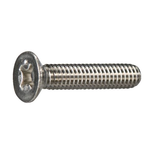 トラスコ中山 TRUSCO 皿頭小ねじ ステンレス 全ネジ M6×10 10本入 少量パック Y826-0610 1袋(10本)（直送品）