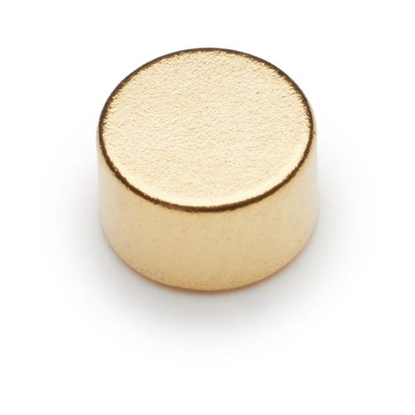 マグエバー MAGEVER ネオジム磁石 丸型 φ2.5×4 金メッキ (10個入) 1002500045035 1袋(10個)（直送品）