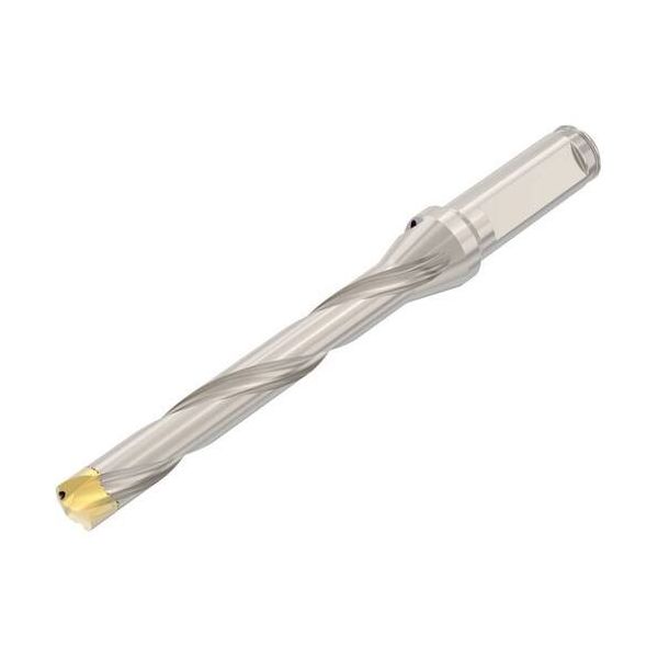 セコ ドリル加工 Crownloc(クラウンロック) SD107 SD107-16.00/16.99-110-16R7 1個（直送品）