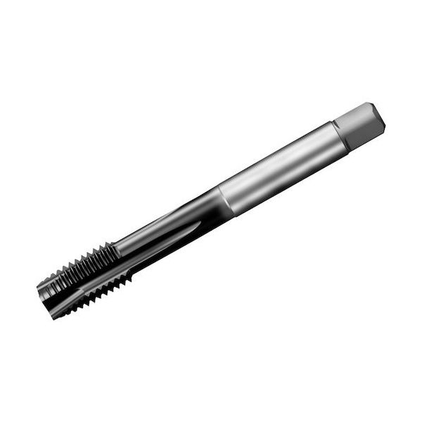 サンドビック SANDVIK コロタップ200 ポイントタップ(780) P1PM T200-PM101AA-M14 1本 351-2639（直送品）