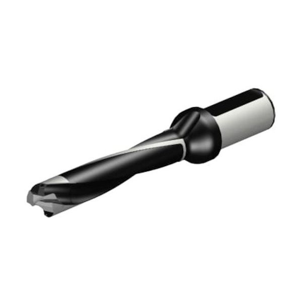 サンドビック SANDVIK コロドリル870 ヘッド交換式ドリル(446) 870-2500-25LX125-5 1本 314-5179（直送品）