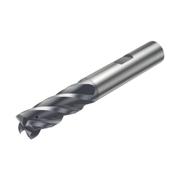 SANDVIK コロミルプルーラ 重切削フライス加工用超硬エンドミル(730) M2CM 2S342-0600-100CMB 1個（直送品） 11,008円