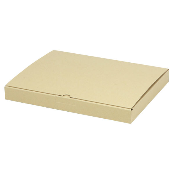 ヤマニパッケージ 宅配 箱 EE-123 宅送用ギフト箱3cm 2201000236675 1セット(200個入)（直送品）