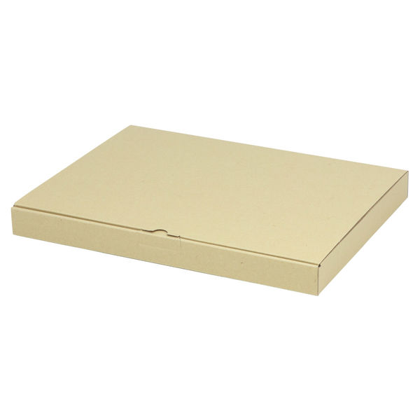 ヤマニパッケージ 宅配 箱 EE-124 宅送用ギフト箱3cm 2201000236682 1セット(200個入)（直送品）