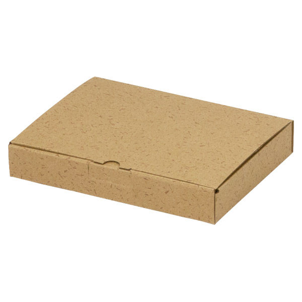 ヤマニパッケージ 箱 EE-330 カル段組立式3cm 2201000236699 1セット(100個入)（直送品）