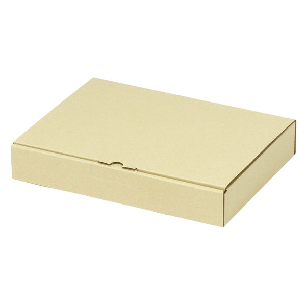 ヤマニパッケージ 宅配 箱 EE-172 宅送用ギフト箱4cm 2201000236811 1セット(100個入)（直送品）