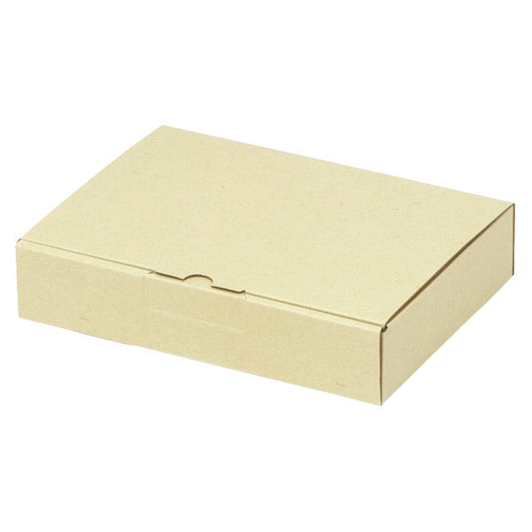 ヤマニパッケージ 宅配 箱 EE-170 宅送用ギフト箱4cm 2201000236798 1セット(100個入)（直送品）