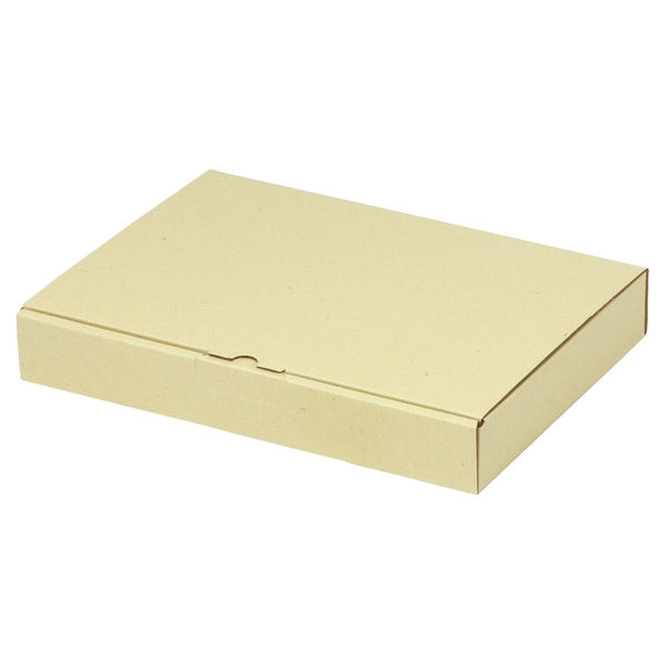 ヤマニパッケージ 宅配 箱 EE-173 宅送用ギフト箱4cm 2201000236828 1セット(100個入)（直送品）