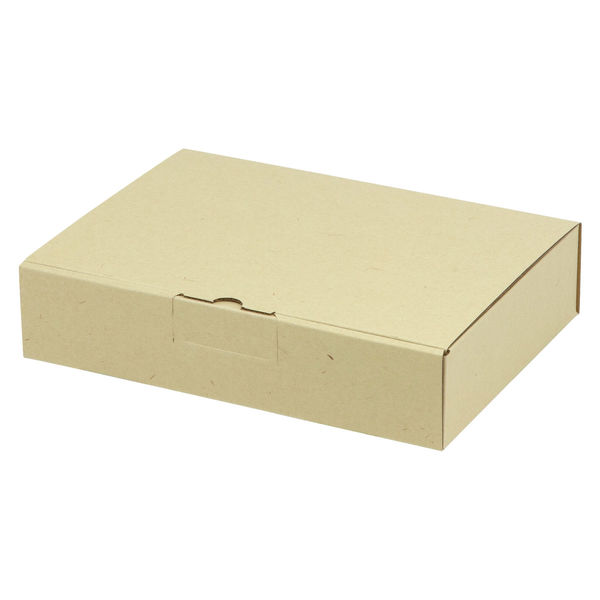 ヤマニパッケージ 宅配 箱 EE-181 宅送用ギフト箱5cm 2201000236880 1セット(100個入)（直送品）