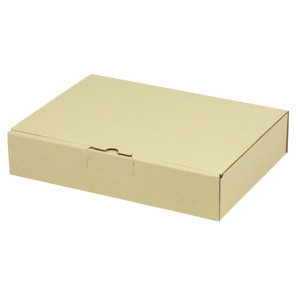 ヤマニパッケージ 宅配 箱 EE-182 宅送用ギフト箱5cm 2201000236897 1セット(100個入)（直送品）