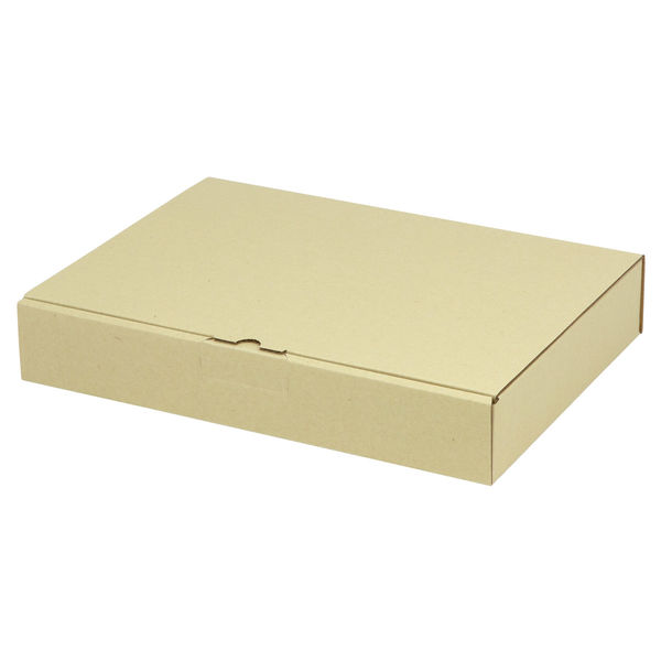 ヤマニパッケージ 宅配 箱 EE-184 宅送用ギフト箱5cm 2201000236910 1セット(100個入)（直送品）