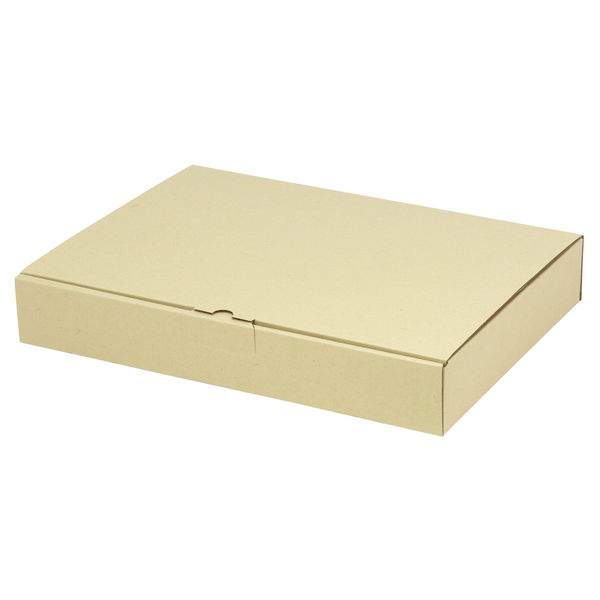 ヤマニパッケージ 宅配 箱 EE-185 宅送用ギフト箱5cm 2201000236927 1セット(100個入)（直送品）