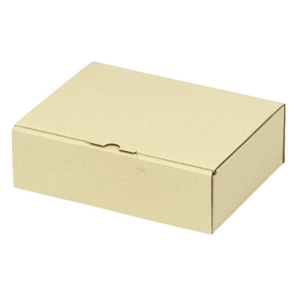 ヤマニパッケージ 宅配 箱 EE-190 宅送用ギフト箱6cm 2201000236996 1セット(100個入)（直送品）