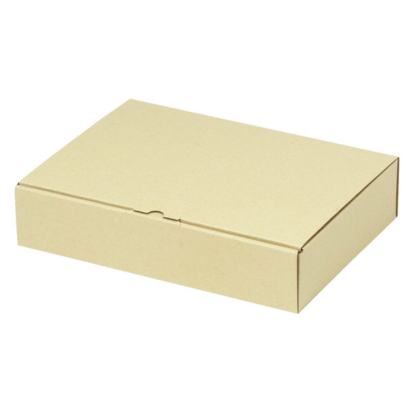 ヤマニパッケージ 宅配 箱 EE-193 宅送用ギフト箱6cm 2201000237023 1セット(100個入)（直送品）