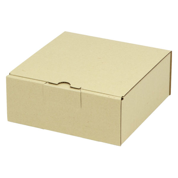 ヤマニパッケージ 宅配 箱 EE-131 宅送用ギフト箱7cm 2201000237085 1セット(100個入)（直送品）