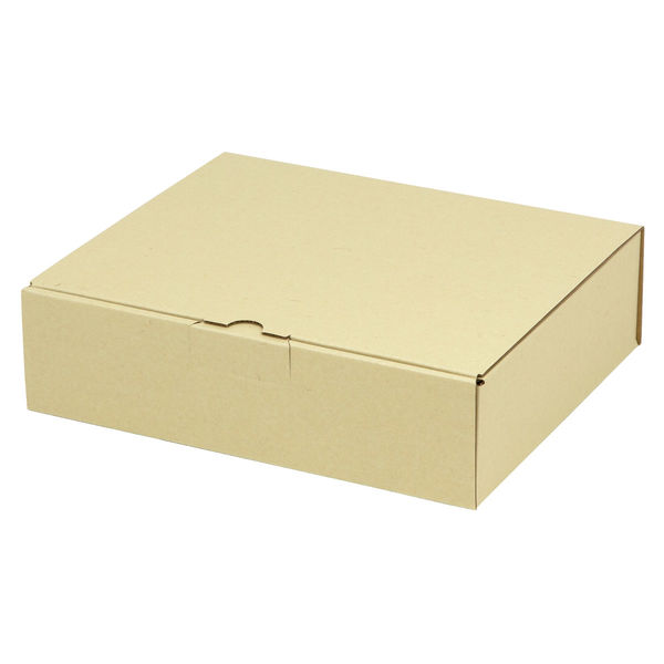 ヤマニパッケージ 宅配 箱 EE-133 宅送用ギフト箱7cm 2201000237108 1セット(100個入)（直送品）