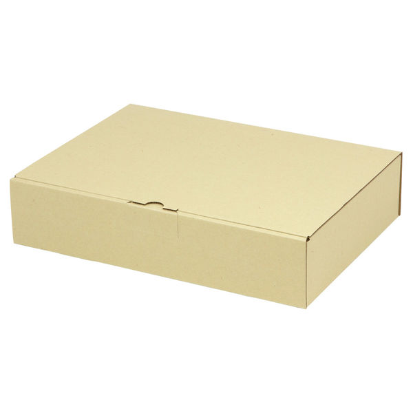 ヤマニパッケージ 宅配 箱 EE-134 宅送用ギフト箱7cm 2201000237115 1セット(100個入)（直送品）