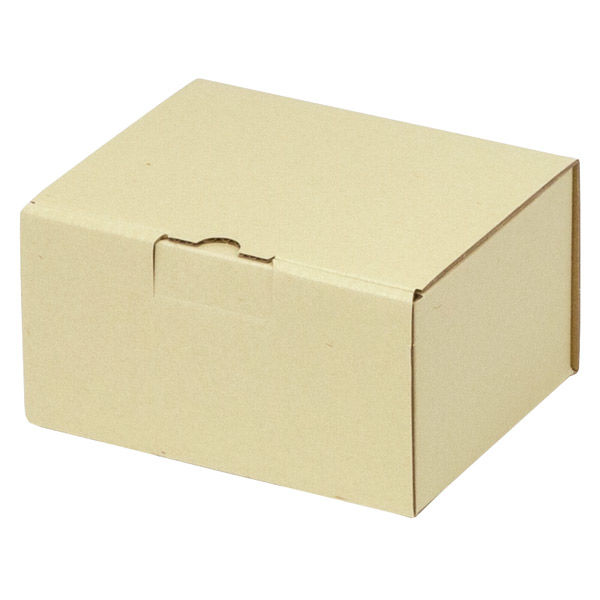 ヤマニパッケージ 宅配 箱 EE-150 宅送用ギフト箱10cm 2201000237269 1セット(60個入)（直送品）