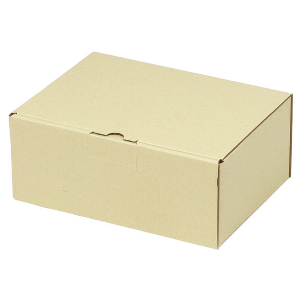 ヤマニパッケージ 宅配 箱 EE-151 宅送用ギフト箱10cm 2201000237276 1セット(60個入)（直送品）