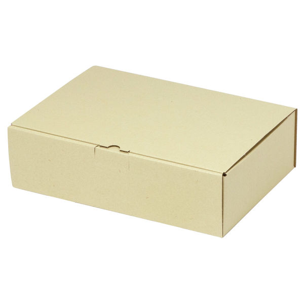 ヤマニパッケージ 宅配 箱 EE-154 宅送用ギフト箱10cm 2201000237306 1セット(60個入)（直送品）