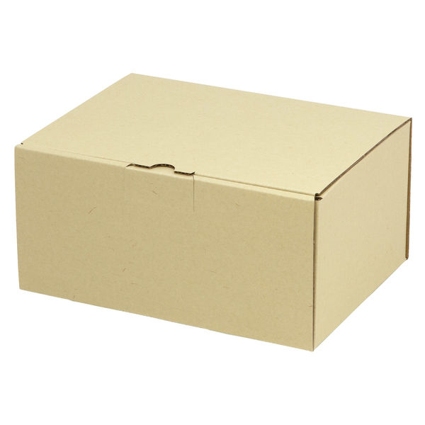 ヤマニパッケージ 宅配 箱 EE-160 宅送用ギフト箱12cm 2201000237313 1セット(50個入)（直送品）