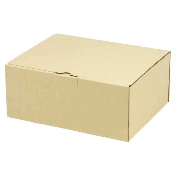 ヤマニパッケージ 宅配 箱 EE-162 宅送用ギフト箱12cm 2201000237337 1セット(50個入)（直送品）