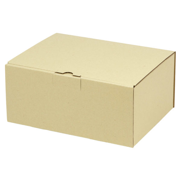 ヤマニパッケージ 宅配 箱 EE-161 宅送用ギフト箱12cm 2201000237320 1セット(50個入)（直送品）