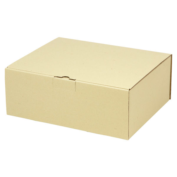 ヤマニパッケージ 宅配 箱 EE-164 宅送用ギフト箱12cm 2201000237351 1セット(50個入)（直送品）