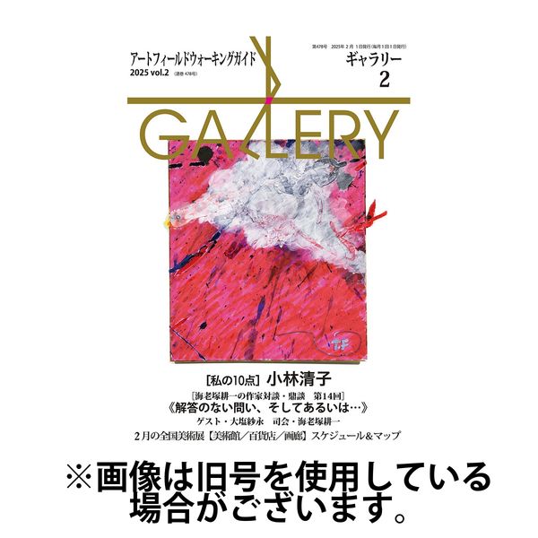 月刊ギャラリー 2025/06/01発売号から1年(12冊)(雑誌)（直送品）